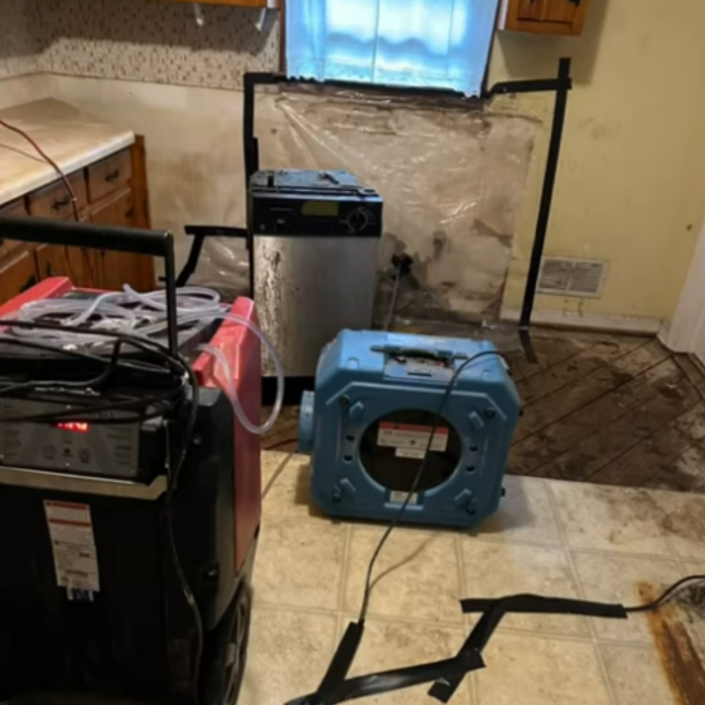 Apex1 Restoration - Water Damage Restoration(1)